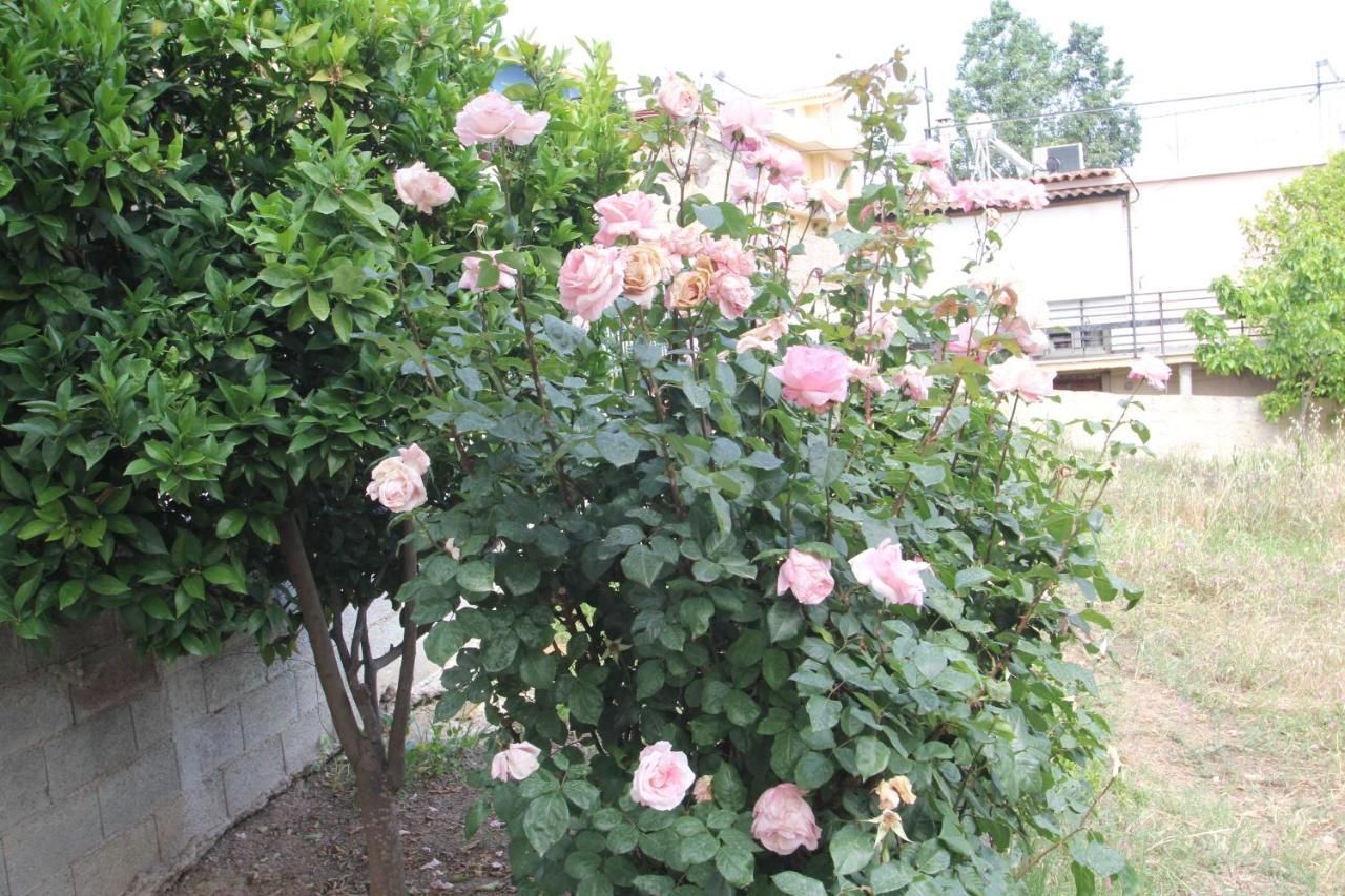 ヴラヴローナFiloxenia House Near Airportアパートメント エクステリア 写真